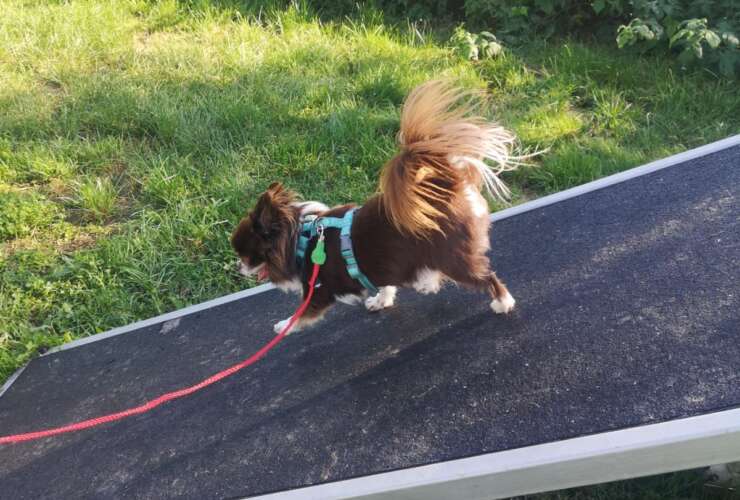 Wöchentliche Gruppenstunde mit wechselnden Themenschwerpunkten