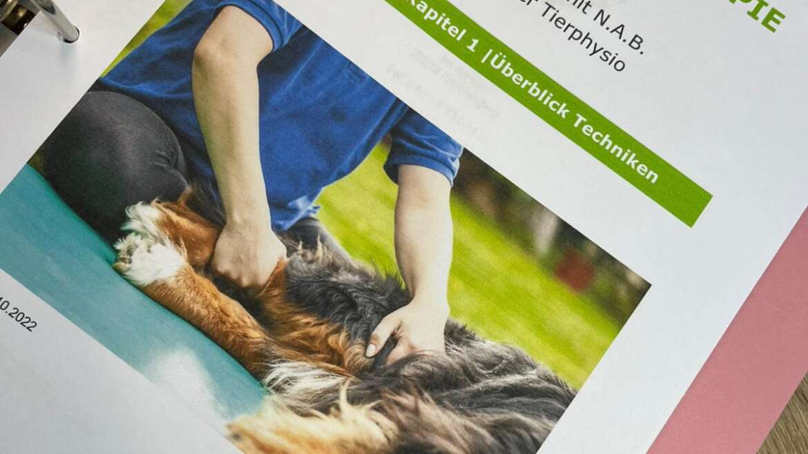 Neue Fortbildung Hunde-Physiotherapie