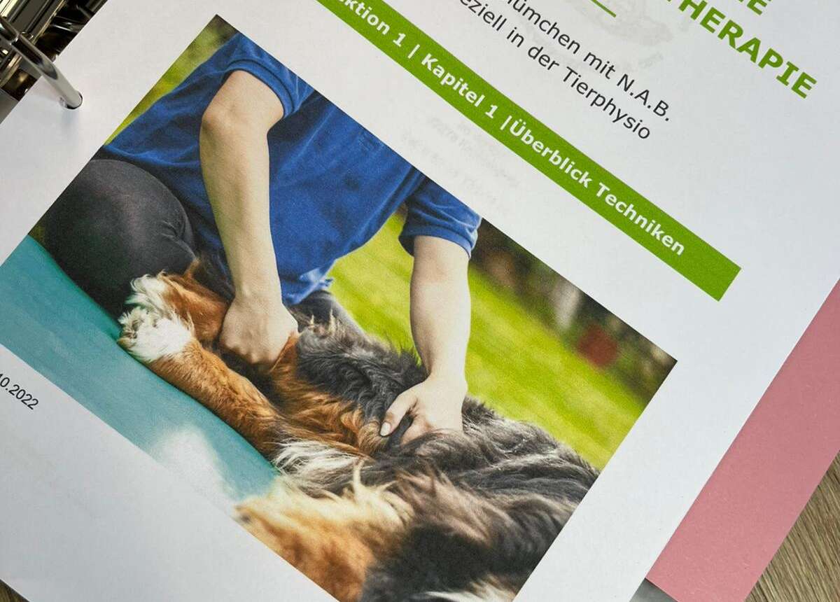 Neue Fortbildung Hunde-Physiotherapie