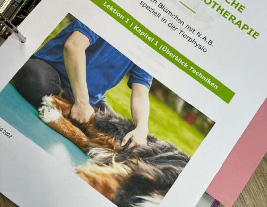 Neue Fortbildung Hunde-Physiotherapie