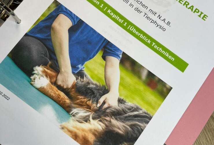 Neue Fortbildung Hunde-Physiotherapie
