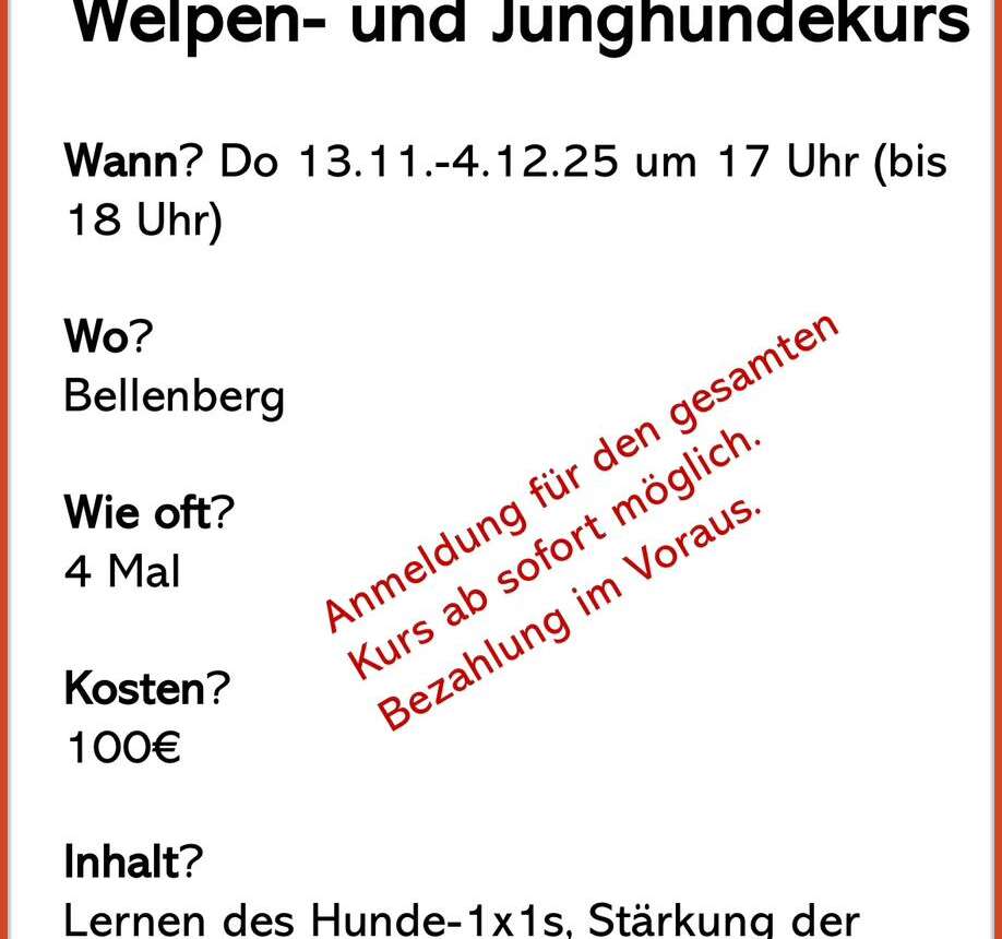 Welpen- und Junghundekurs